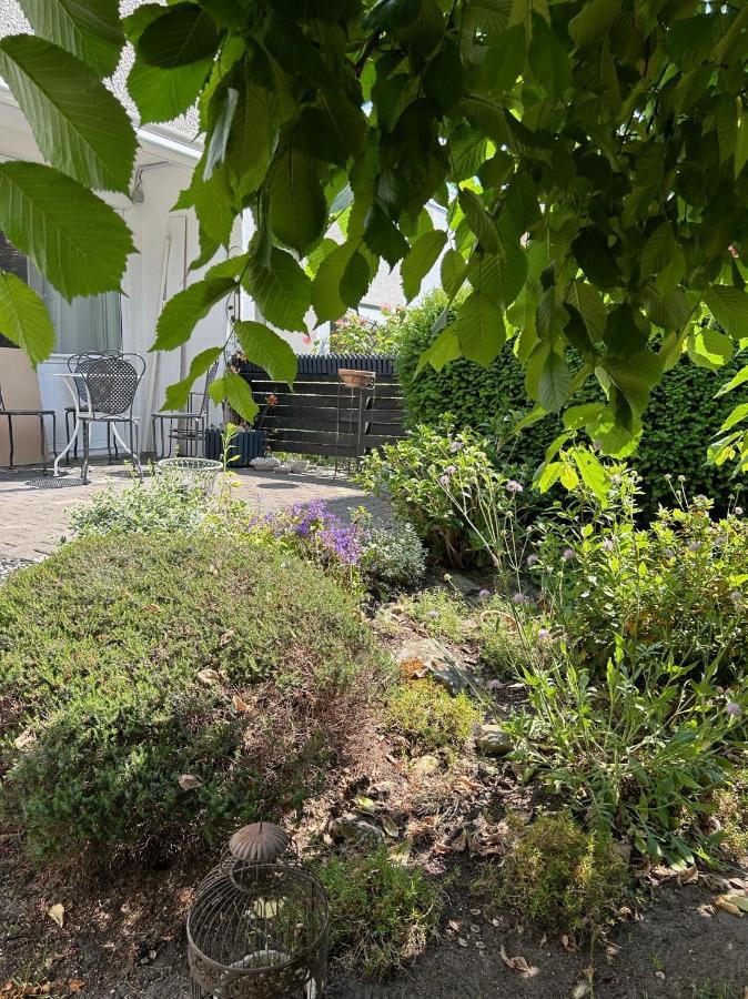 Wohnen Am Schloss Wolfsburg Dış mekan fotoğraf